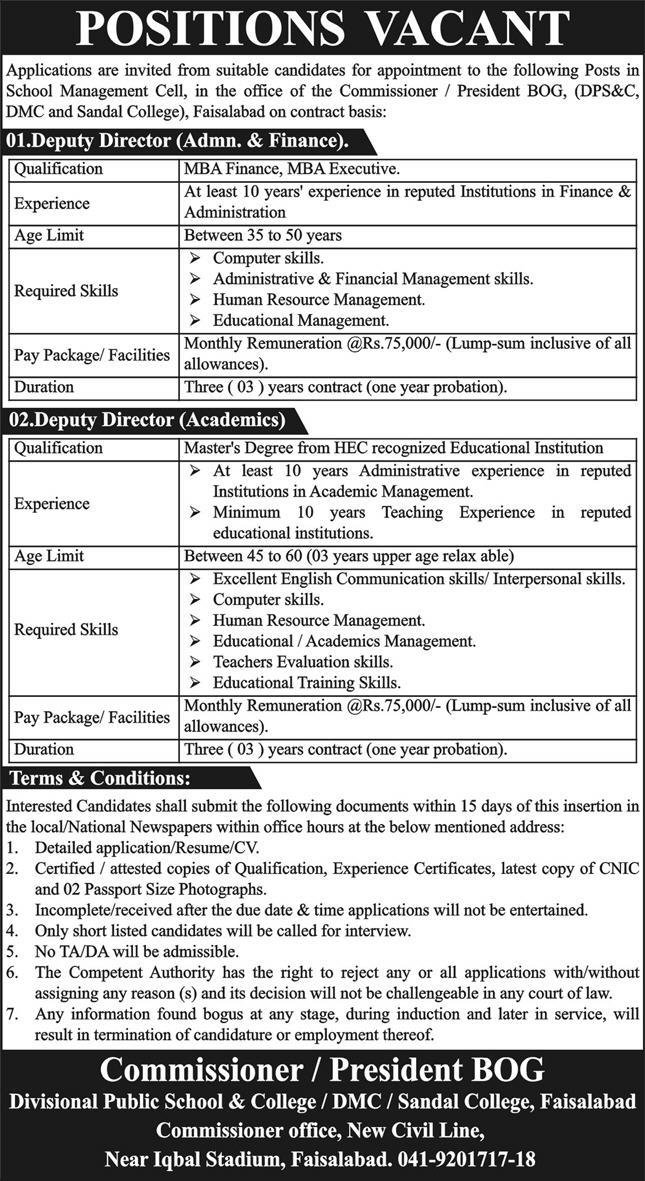 Divisional Public School College DPSC Faisalabad Jobs 2024